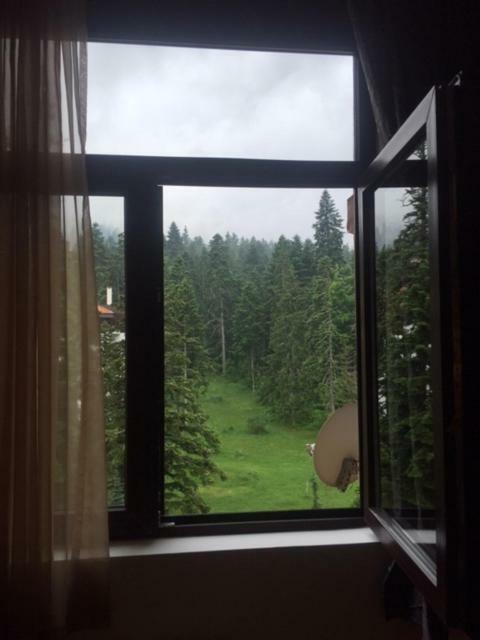 Viva Flora Apartment 607A Borovets Exteriör bild